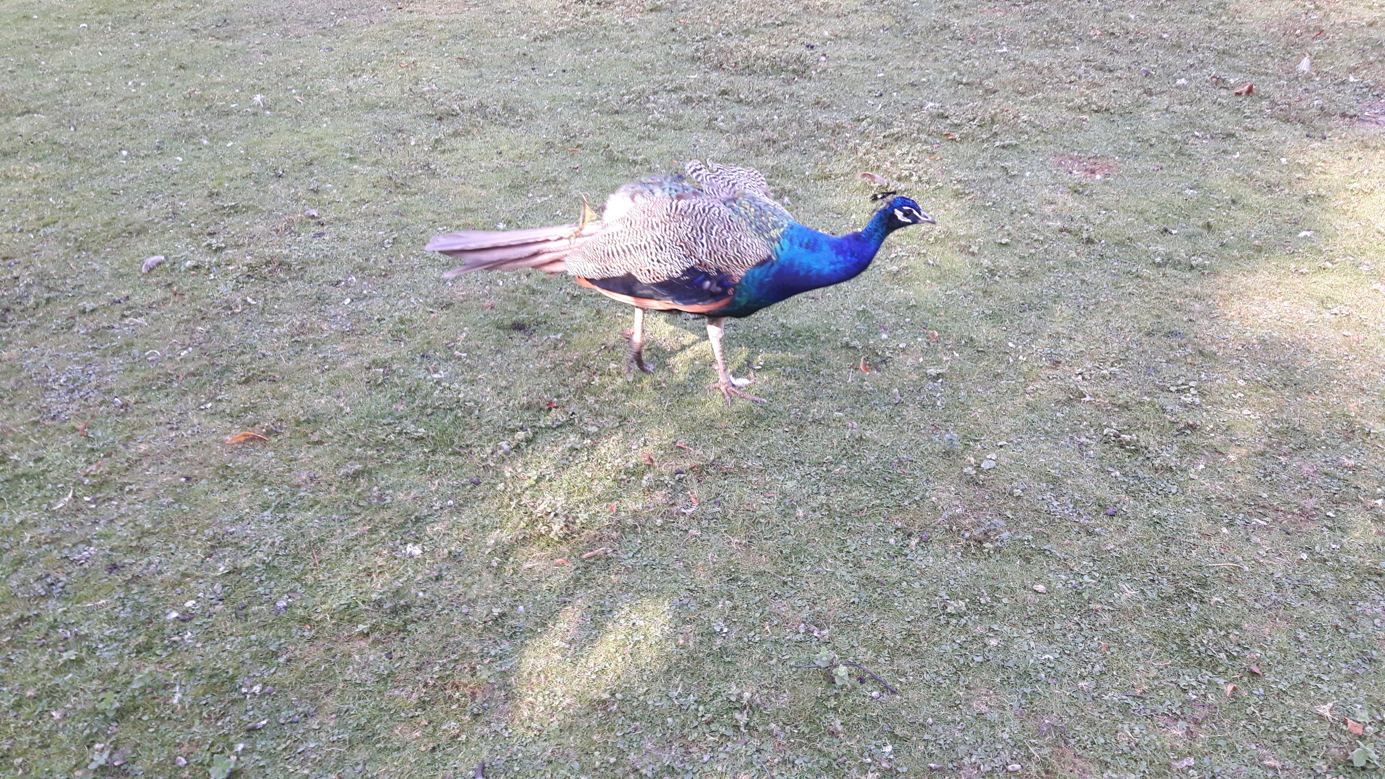 Photo n° 10 de l'avis de jonathan.r fait le 21/09/2019 à 14:34