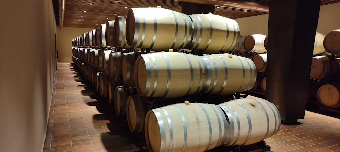 Fantini Wine Store - Roseto Via Salara, 58, 64026 Roseto degli Abruzzi TE, Italia