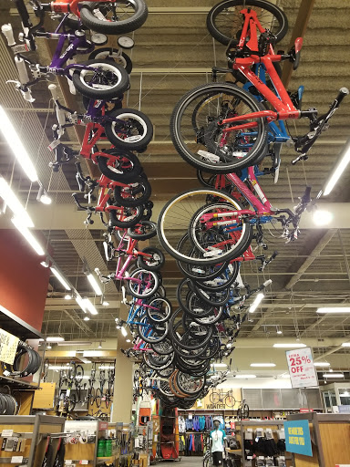 Camping Store «REI», reviews and photos, 49 Fitzgerald Street, Yonkers, NY 10710, USA