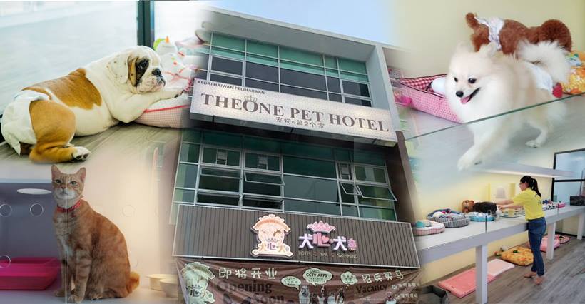 TheOne Pet Hotel