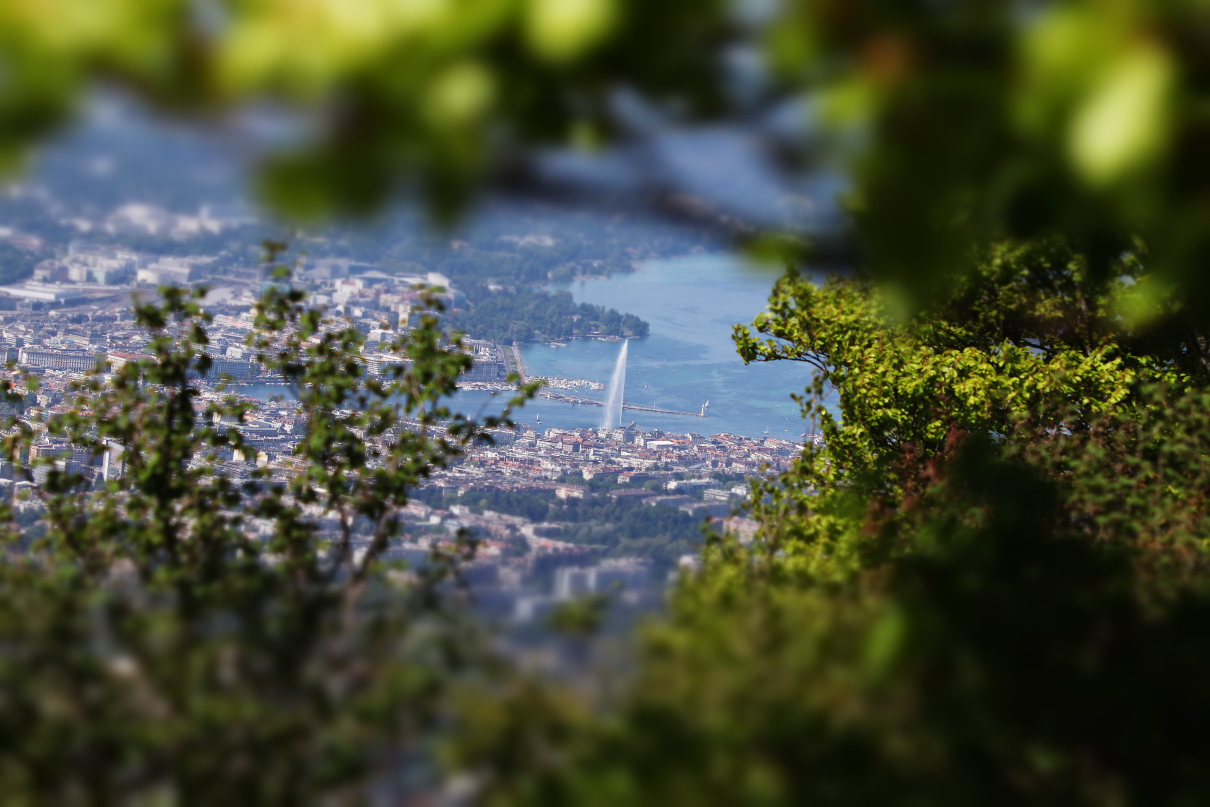 Photo n° 9 de l'avis de Sabine.i fait le 16/05/2022 à 19:18