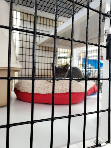Pet Supply Store «Pet Supermarket South Pasadena», reviews and photos, 6892 Gulfport Blvd S #1000, South Pasadena, FL 33707, USA