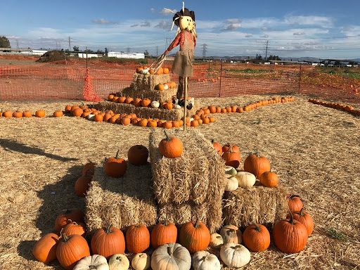 Venegas Family Farms