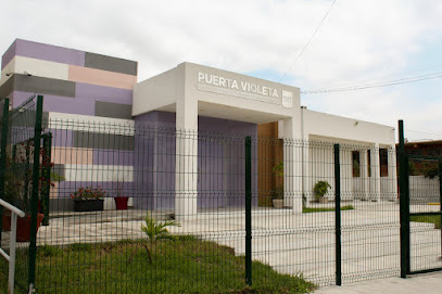 Puerta Violeta Escobedo