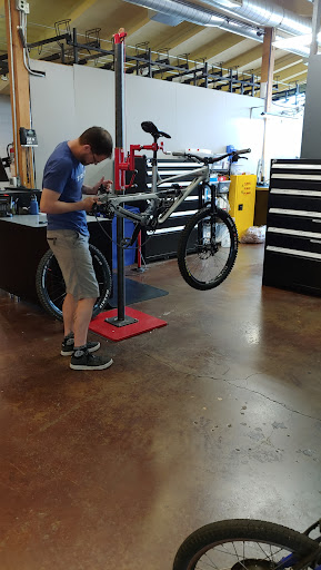 Bicycle Store «Bike Gallery - Beaverton», reviews and photos, 12345 SW Canyon Rd, Beaverton, OR 97005, USA