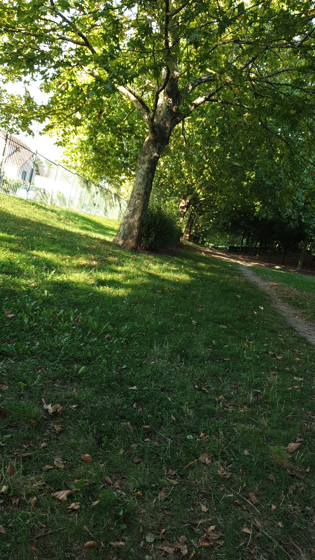 Photo n° 1 de l'avis de Sylvania.o fait le 30/08/2019 à 16:54
