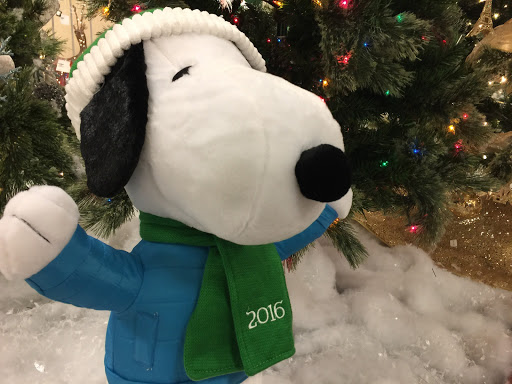 Department Store «Sears», reviews and photos, 3649 Erie Blvd E, Syracuse, NY 13214, USA