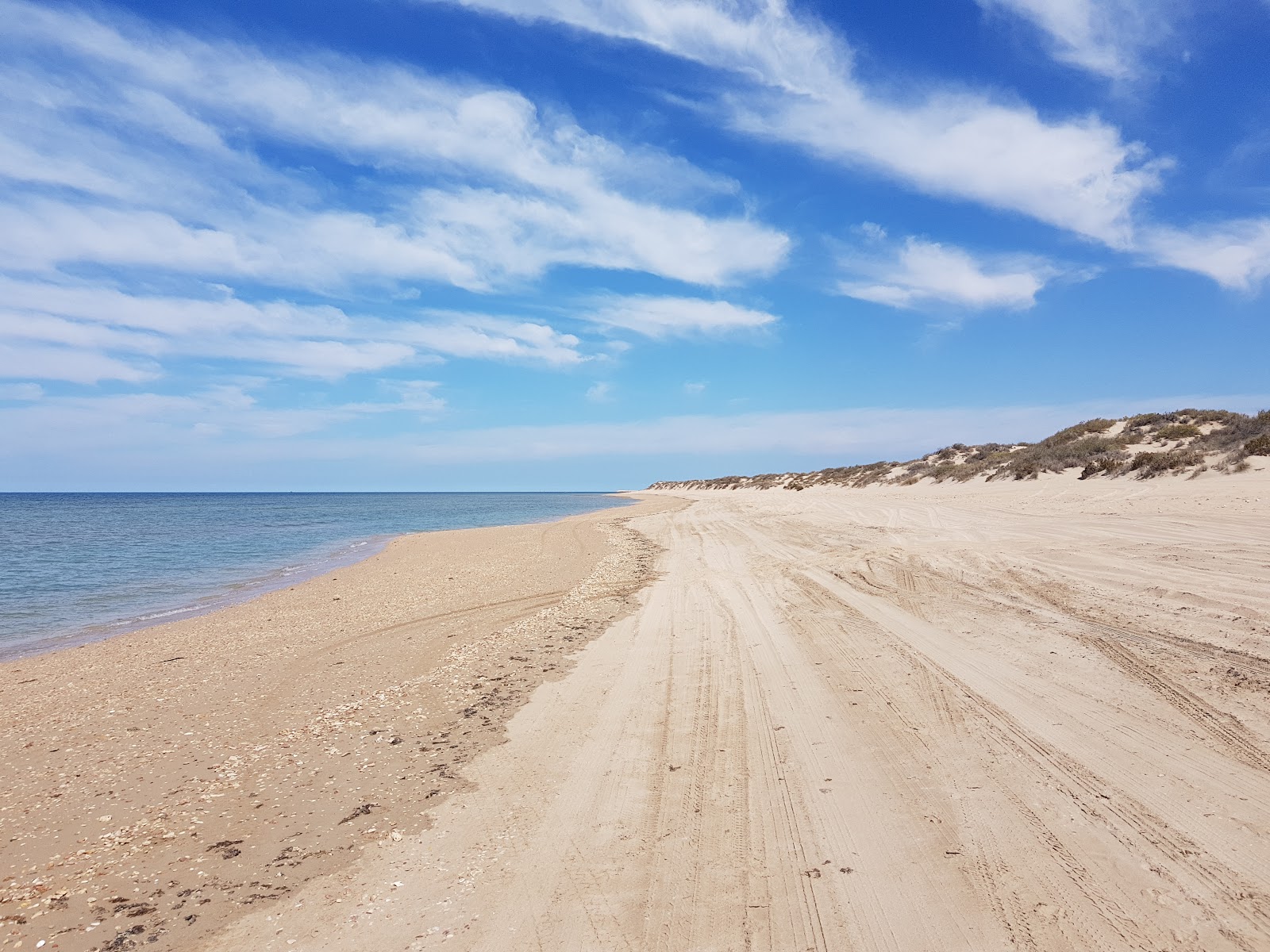 Φωτογραφία του Town Beach με μια ευρύχωρη ακτογραμμή