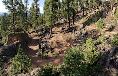 Parking lot for Colorado Trail access