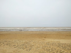 Vedaraniam Beach'in fotoğrafı çok temiz temizlik seviyesi ile