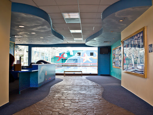 Tennis Court «Almaden Valley Athletic Club», reviews and photos, 5400 Camden Ave, San Jose, CA 95124, USA