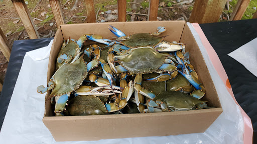 Seafood Market «Bonney & Sons Seafood And Produce», reviews and photos, 1973 Indian River Rd, Virginia Beach, VA 23456, USA