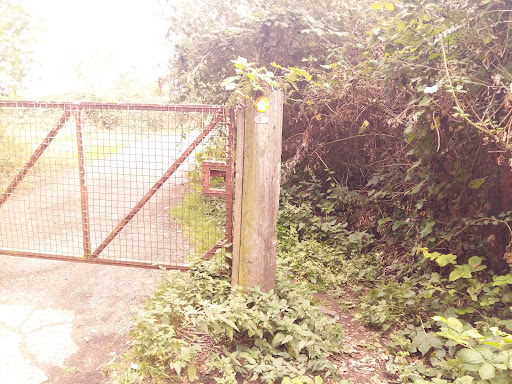 Bike Path Shortcut to Enderby Rd