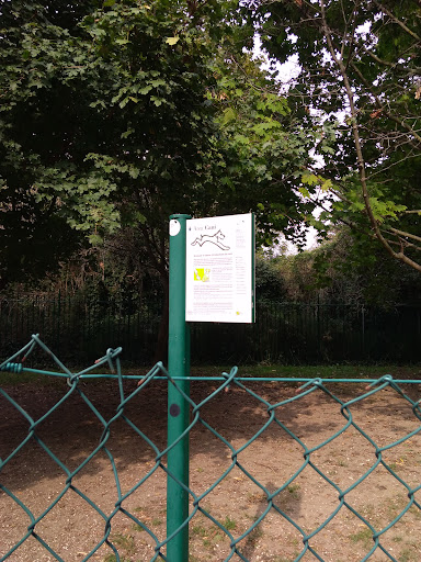 Area cani Parco Sabbioni