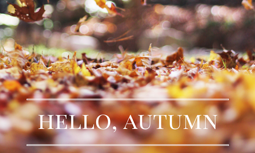 Florist «Mayfield Floral Inc.», reviews and photos, 6109 Mayfield Rd, Mayfield Heights, OH 44124, USA