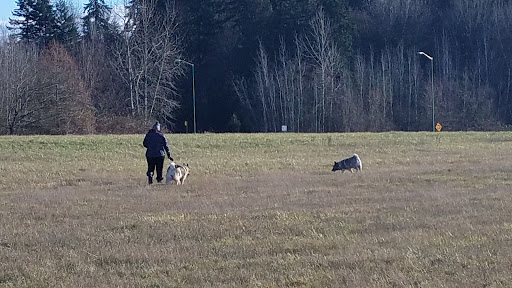 Botanical Garden «Rhododendron Species Botanical Garden», reviews and photos, 2525 S 336th St, Federal Way, WA 98003, USA