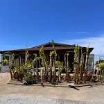 Photo n°5 de l'avis de Romina.a fait le 08/04/2023 à 13:19 sur le  Lido Chiringuito Cocktails bar - Ristorante - Pizzeria à Pizzo