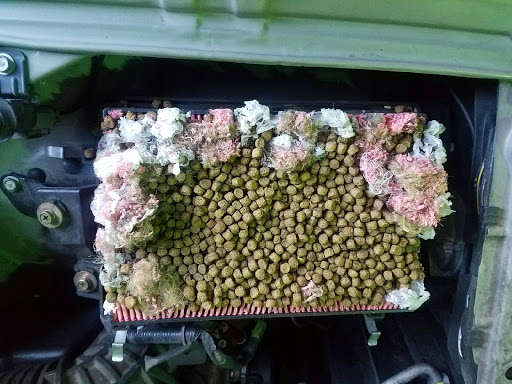 Auto Repair Shop «AA Auto Service Center», reviews and photos, 8004 Avondale Way NE, Redmond, WA 98052, USA