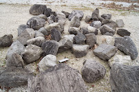 Woodville Road Nursery Ltd. - Photo 2 - Car repair in Northwood, OH, Toledo