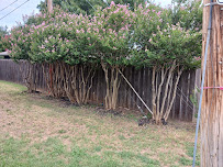 Mean Green Lawn and Tree service - Photo 6 - Car repair in , Wichita Falls