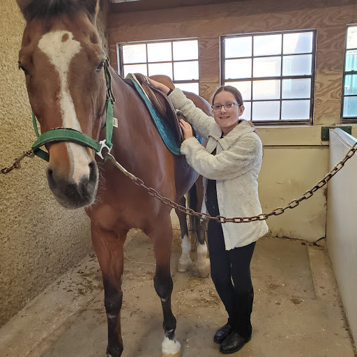 Horse riding school Plano