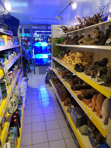 Zoo-Hechtl unter Lauf an der Pegnitz, 