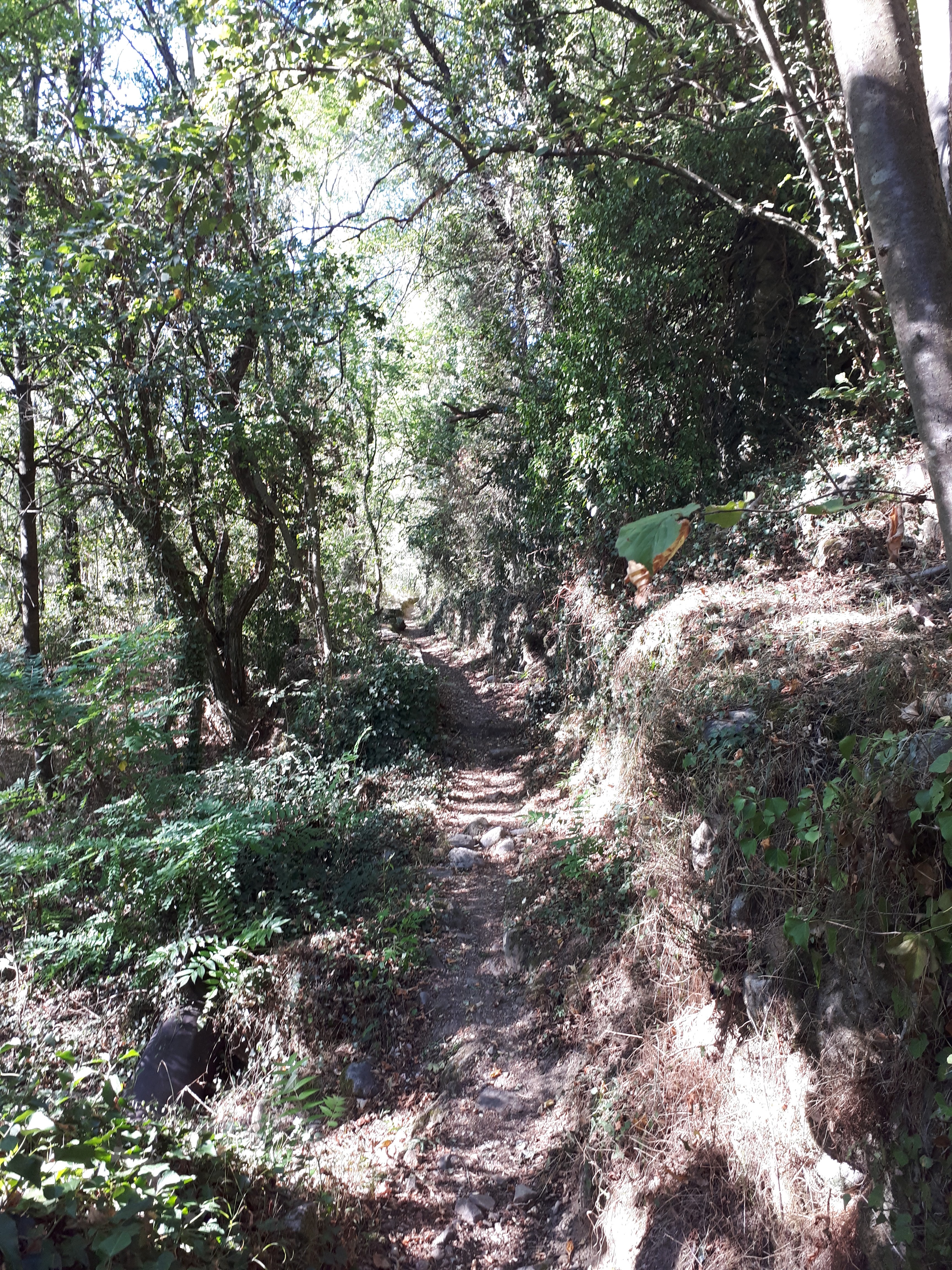 Photo n° 3 de l'avis de Valerie.a fait le 14/09/2019 à 12:03