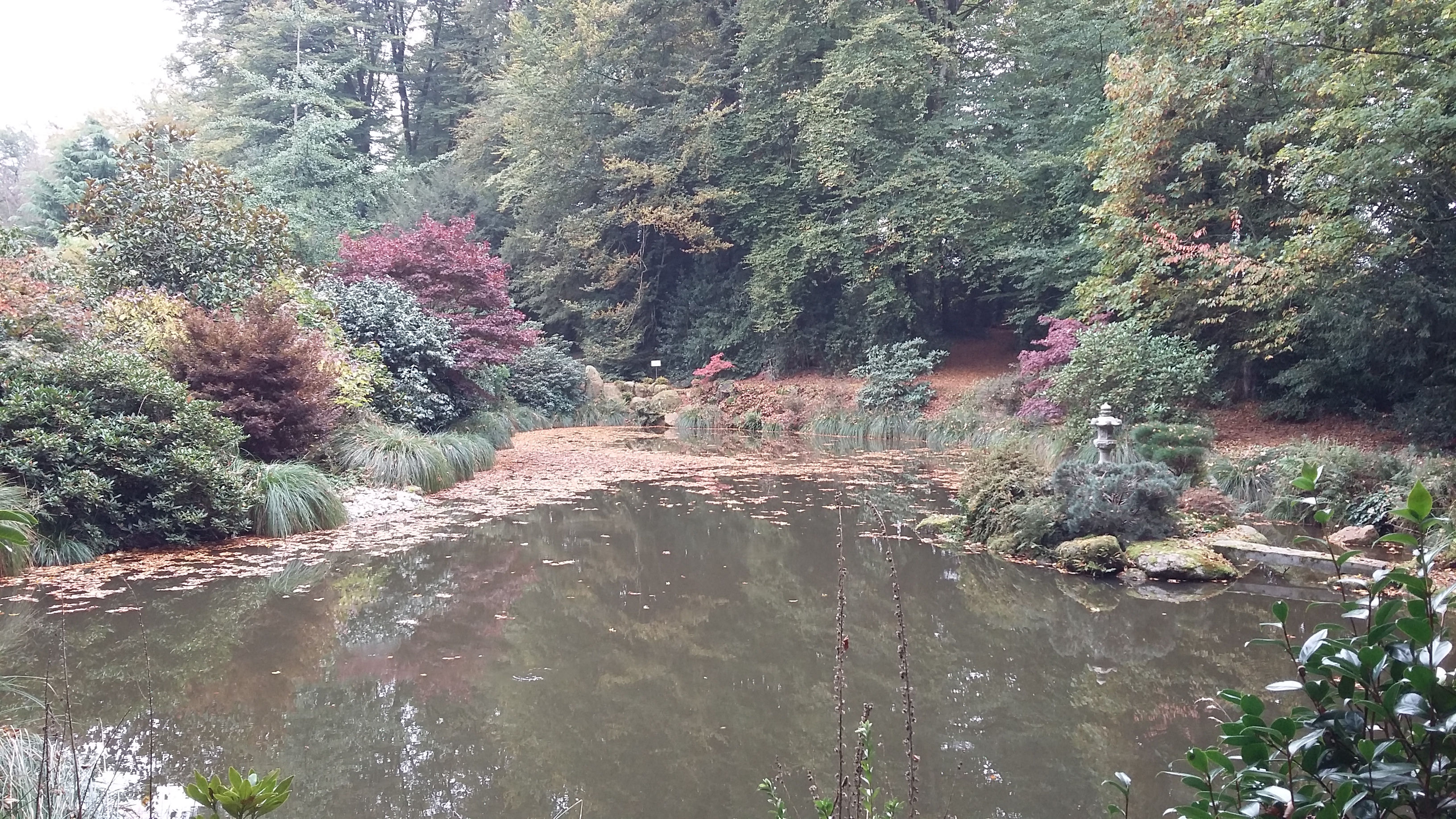 Photo n° 3 de l'avis de geraldine.e fait le 07/11/2017 à 15:13