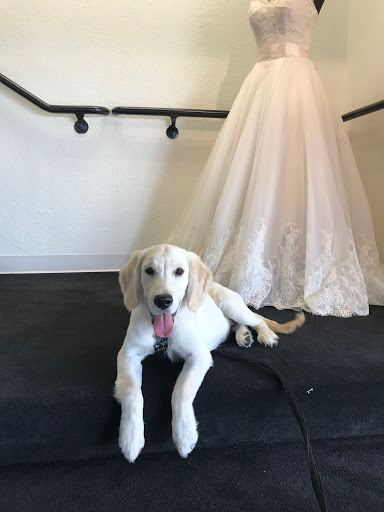 Bridal Shop «Bliss Bridal Salon», reviews and photos, 6501 E Lancaster Ave, Fort Worth, TX 76112, USA