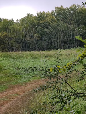 Landahl Mountain Bike Park - photo 36
