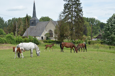 Elevage D'ilac à Bray-lès-Mareuil
