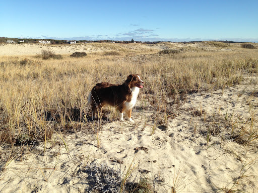 Pet Supply Store «Dinovite», reviews and photos, 101 Miller Dr, Crittenden, KY 41030, USA