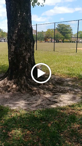 Park «Concord Park», reviews and photos, 3301 SW 114th Ave, Miami, FL 33165, USA