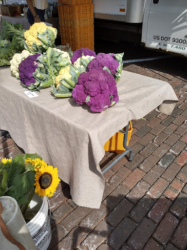 Tourist Attraction «Woodstock Square Historic District», reviews and photos, 205 W Todd Ave, Woodstock, IL 60098, USA