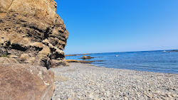 Photo de Staxigoe Hall Beach zone sauvage