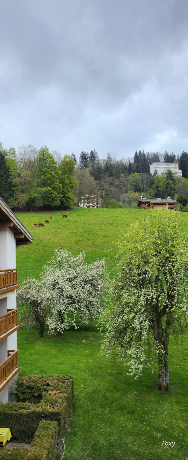 Photo n° 2 de l'avis de Guillaume.a fait le 21/05/2023 à 17:10