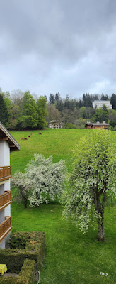 La Marmotte & Hôtel Rent à Megève
