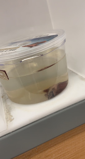 Pet Supply Store «Petco Animal Supplies», reviews and photos, 3452 W Chandler Blvd, Chandler, AZ 85226, USA