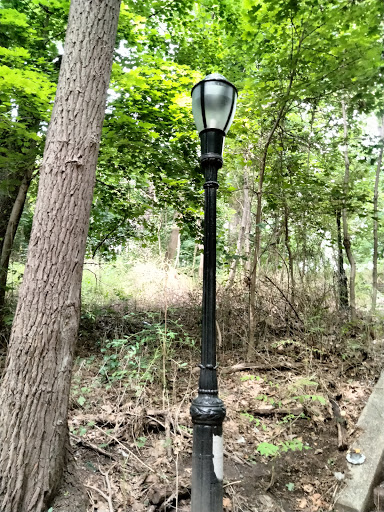 Dog Park «Forest Park Dog Run», reviews and photos, 8445 Park Ln S, Woodhaven, NY 11421, USA