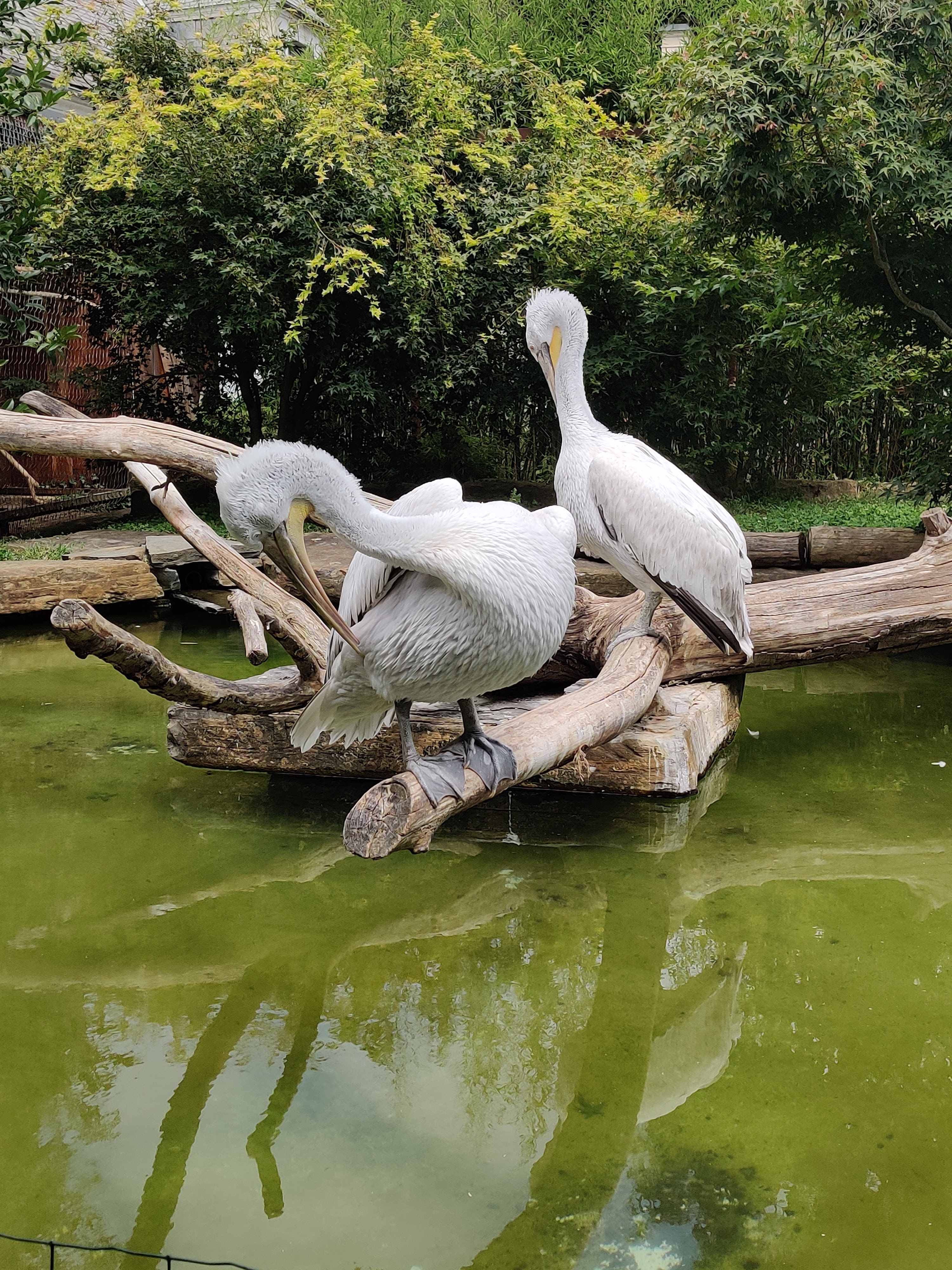 Photo n° 12 de l'avis de Emilie.a fait le 06/08/2023 à 13:12