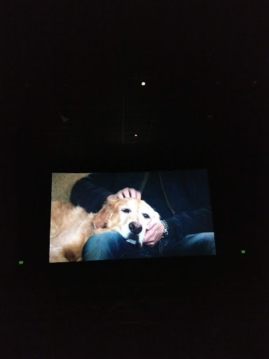 Movie Theater «United Artists Cortlandt Town Center 11», reviews and photos, 3131 Main St, Mohegan Lake, NY 10547, USA