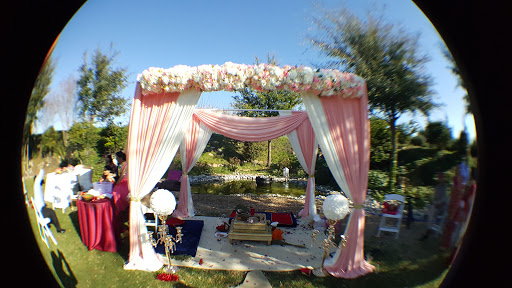 Event Venue «Dallas Palms», reviews and photos, 2424 Marsh Ln, Carrollton, TX 75006, USA