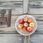 Photo n°11 de l'avis de Steve.o fait le 23/09/2018 à 20:15 sur le  Masseria Salinola à Ostuni