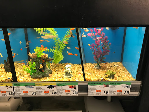 Pet Supply Store «Pet Supplies Plus», reviews and photos, 100 Mall Dr, Steubenville, OH 43952, USA