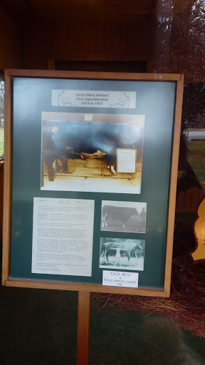 Tourist Attraction «Sycamore Stump», reviews and photos, 1402 Defenbaugh St, Kokomo, IN 46902, USA