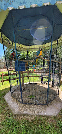 Zoo «Bailiwick Animal Park and Riding Stables», reviews and photos, 118 Castle Rd, Catskill, NY 12414, USA