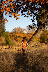 Haverly Photography - Photo 1 - Car repair in , Redding