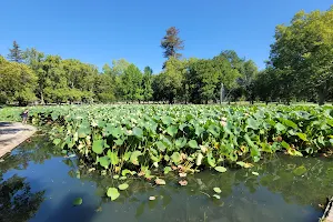Duck Lake image