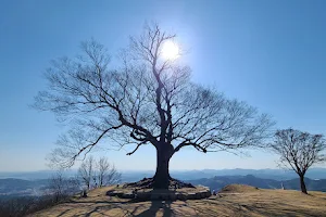 Buyeo Garimseong Fortress(Seongheung Sanseong Fortress) image