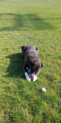 Park «Huset Park», reviews and photos, 3965 Jefferson St NE, Columbia Heights, MN 55421, USA